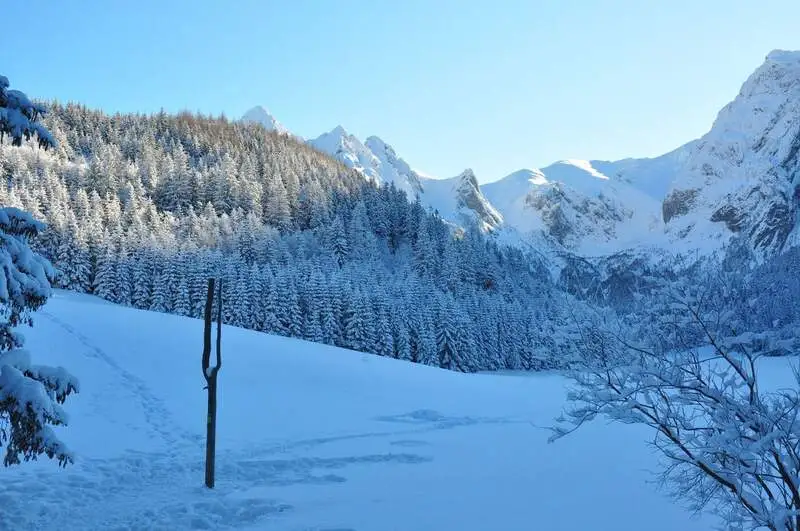 Przyroda Czarnego Dunajca — Czarny Dunajec